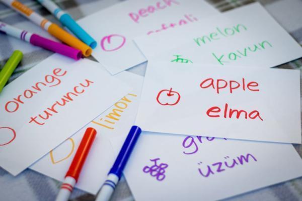 چرا باید زبان ترکی یاد بگیریم؟ چرا باید زبان ترکی یاد بگیریم؟