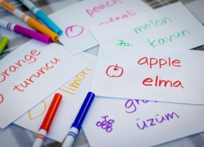 چرا باید زبان ترکی یاد بگیریم؟